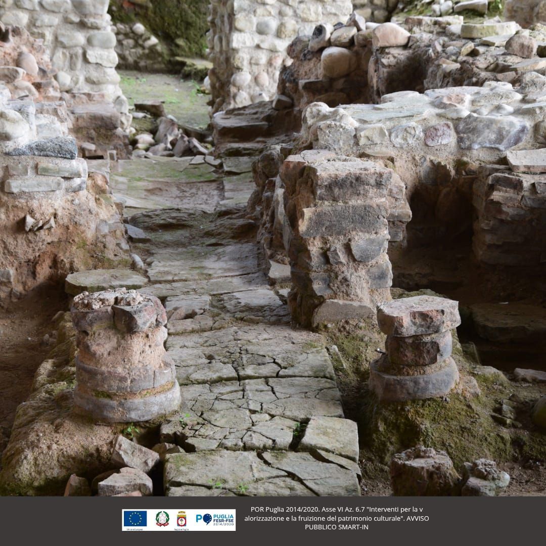 Un insediamento rurale nella valle del Carapelle (PDF volume)